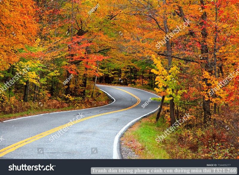 Tranh dán tường phong cảnh hồ thác, cây cối T321-528